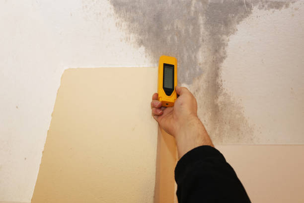 Best Indoor Air Quality Assessment  in Hamlin, WV