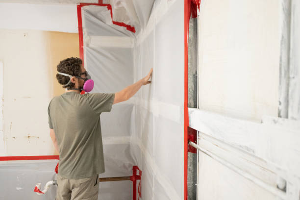 Reliable Hamlin, WV Mold Removal Solutions