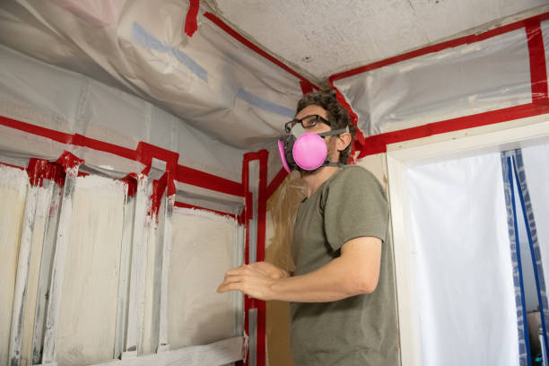 Best Basement Mold Removal  in Hamlin, WV
