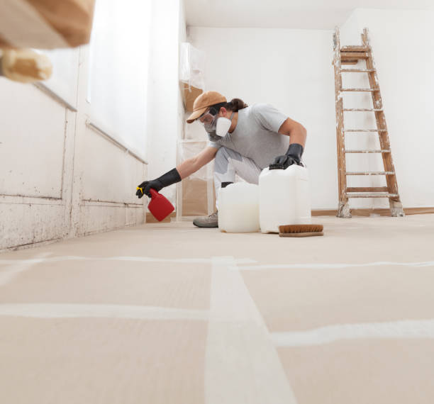 Best Dehumidification Services  in Hamlin, WV
